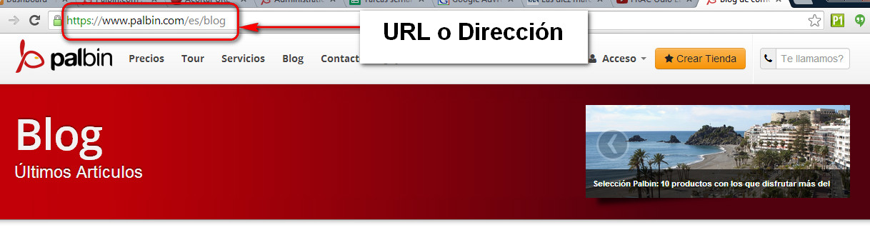 Barra de navegación aparece la URL