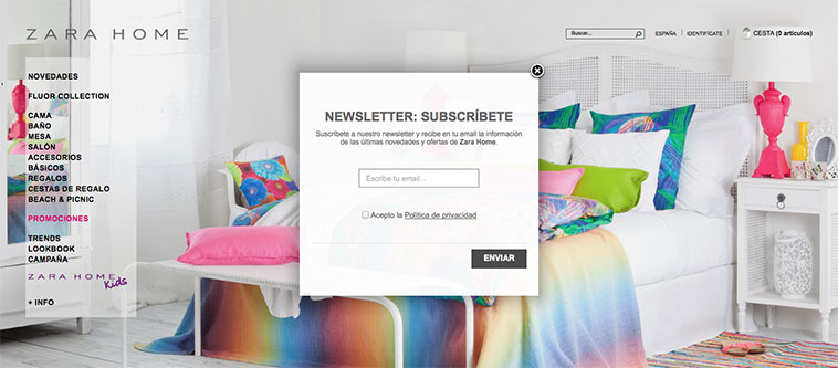 notificación newsletter