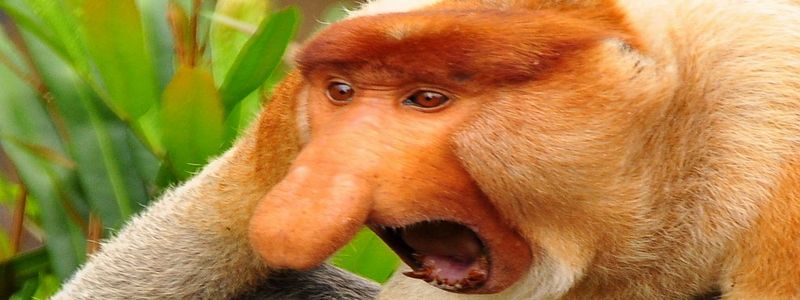 Diseño poco atractivo