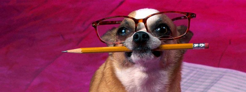 Descripciones de productos mal escritos