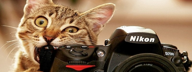 Fotografías con mala calidad